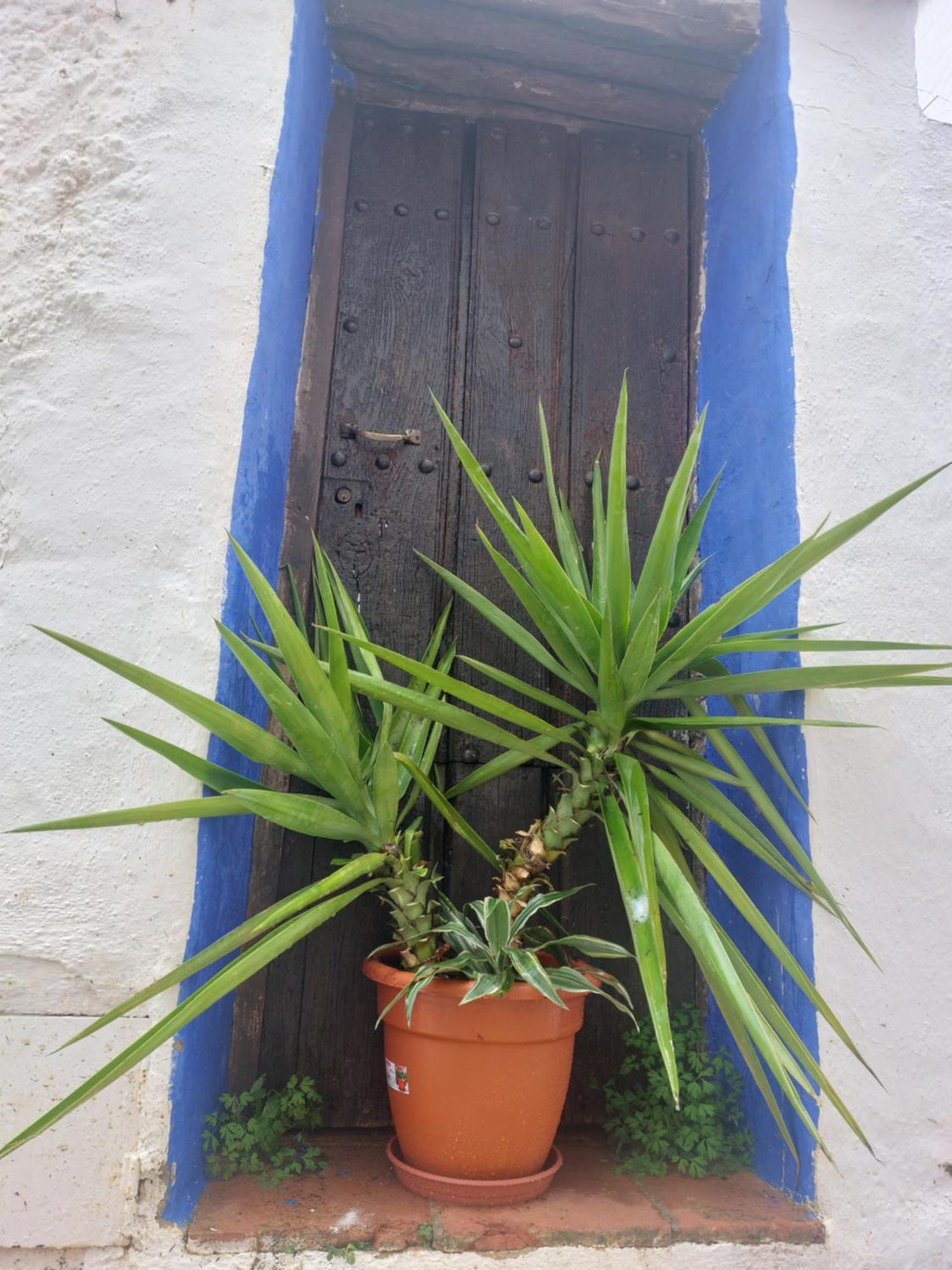 Casa rural El Patio Benadalid Exterior foto
